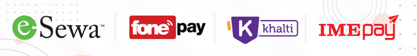 payment provider
