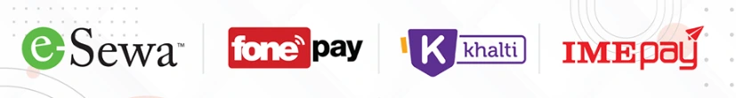 payment provider